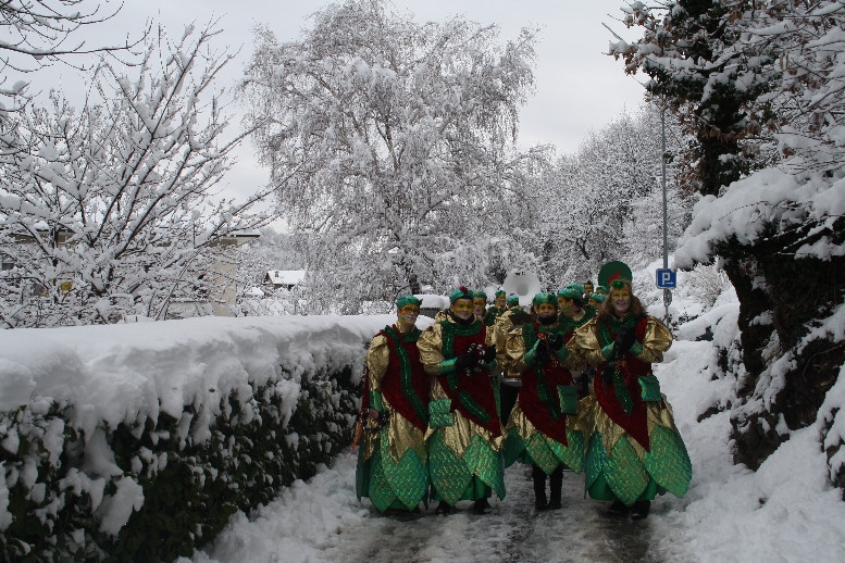 gran_carnevale_tremonese_2012 (01).jpg